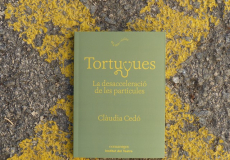 Tortugues de Clàudia Cedó