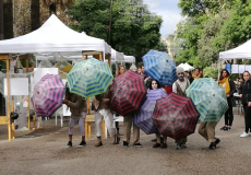 Beques d'Arts Escèniques Aplicades 2018