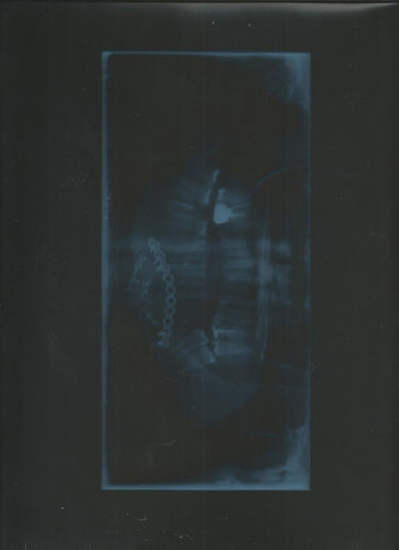 Cantus Gestualis, Premi Adrià Gual 21, al Grec 22