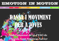 Cartell del projecte Emotion elaborat per l'alumna del CSD Mireia Codert