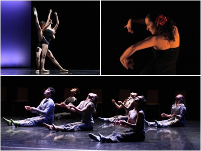 Dansa en Xarxa: sessions de dansa clàssica, contemporània i espanyola