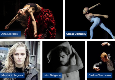 Professionals convidats al CPD durant els mesos de novembre i desembre