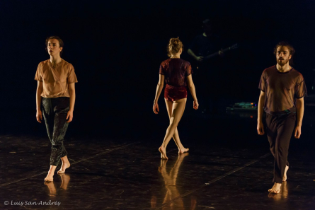 Moaré. Ariadna Montfort