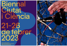 Embolisme por soleá