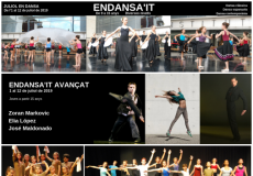 Endansait 2019