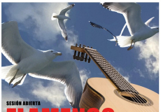 Cartell de l'activitat del 29 de juny al Solar de la Puri