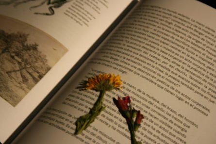 Projecte 3 Xavier Bobés ESAD