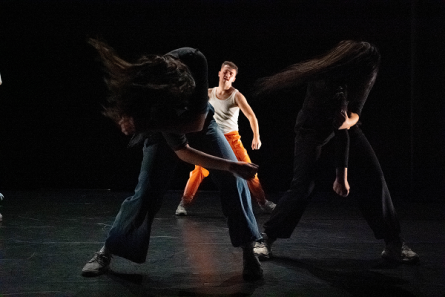 proves extraordinàries d'accés de CSD. Pedagogia de la dansa