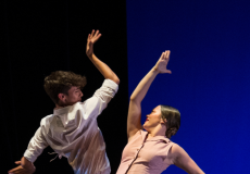 Celebració del Dia Internacional del Flamenc 2024