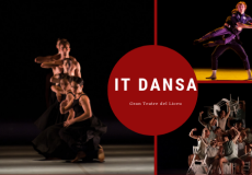 IT Dansa al Gran Teatre del Liceu. Fotografies: Frank Thibault i Rakel Kros