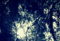 Limbo, instal.lació de l'ESAD al Festival Llum BCN 2019