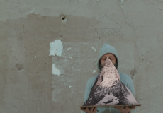 Només ens vol protegir el cel