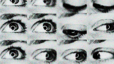 Ofec, col·lectiu corpori
