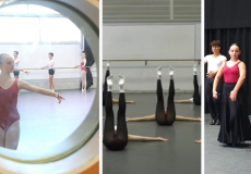 Classes magistrals de Dansa en Xarxa 2026