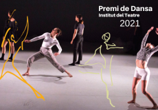 Aquesta serà la setena edició del Premi de Dansa