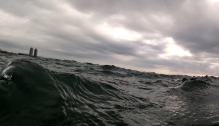 Silvia Zayas i el projecte Ruido, un dels temes de les jornades internes de IT