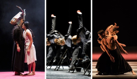 Programa d'IT dansa al Dansa Compartida 2026