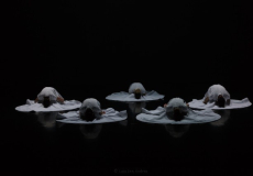 Oblivion de Silvia Batet. Imatge de Luis San Andrés