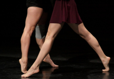 Portes obertes CSD. Foto Carlos Torrico