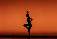 Jornada portes obertes CSD 2017