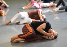 Portes Obertes del CSD 2020