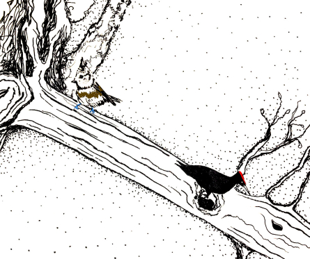 Dejós deth bòsc, espectacle de l'alumnat de 4t d'interpretació de text i escenografia