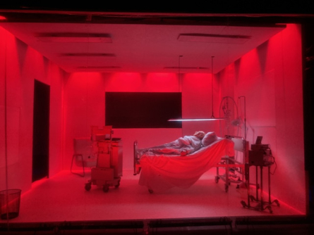 El pes d'una mà plena de fang