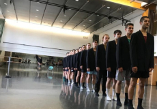 IT Dansa tallers lliures