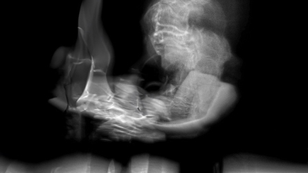 Taller amb CIFO de text 2023