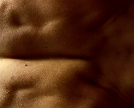 TF d'Andrea Sánchez, CSD