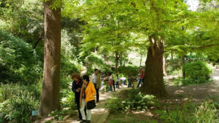 Visita guiada Jardí Botànic. Viu Montjuïc