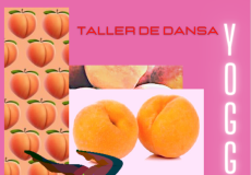 "Yoggaton" és el nom del projecte que les estudiants de Pedagogia del CSD porten a la presó