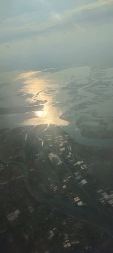 Y otra vez el olivo en llamas, Andrea Castells