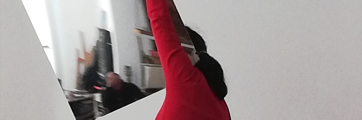 Postgrau en Arts en Viu Professorat Requadre